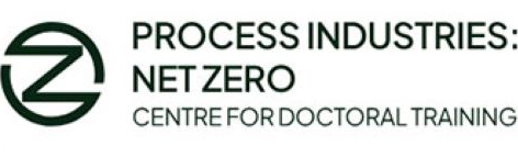 pinz-logo-helen-sneddon